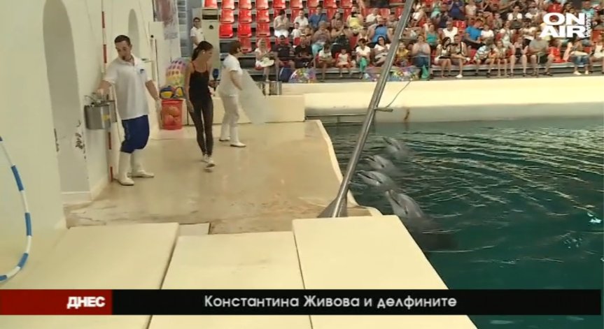 Делфините Йоана и Бимбо пяха за ДНЕС