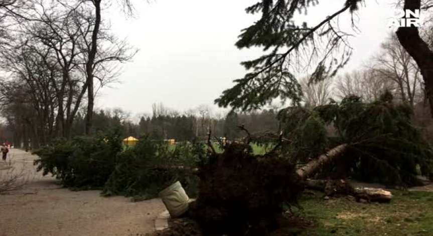 Заради лошото време: Над 100 сигнала са подадени на 112