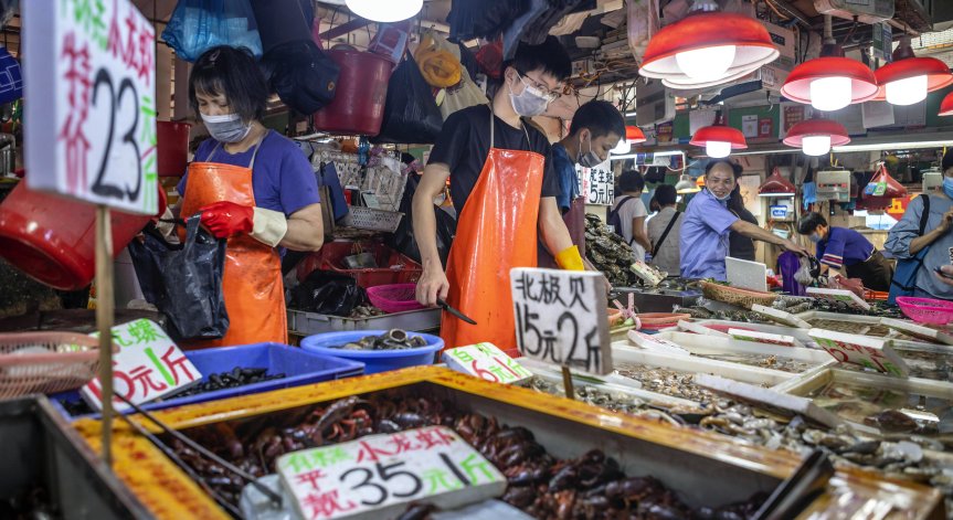 Ще успеят ли да докажат експертите на СЗО как е възникнал Ковид-19?