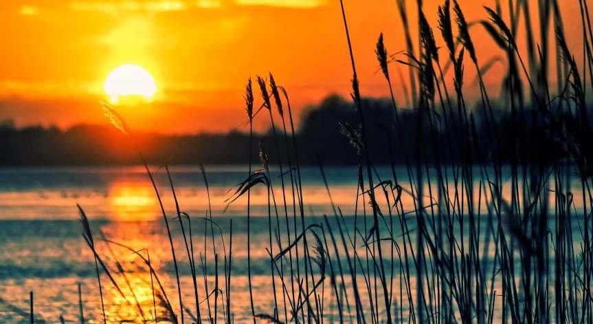 Август започва с опасни горещини, живакът минава 41°