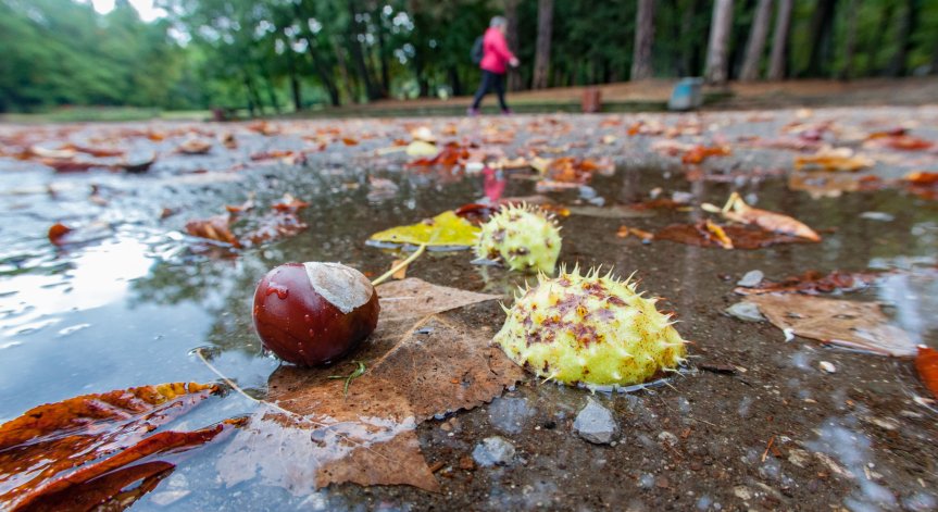 Снимка: Димитър Кьосемарлиев (Bulgaria ON AIR)