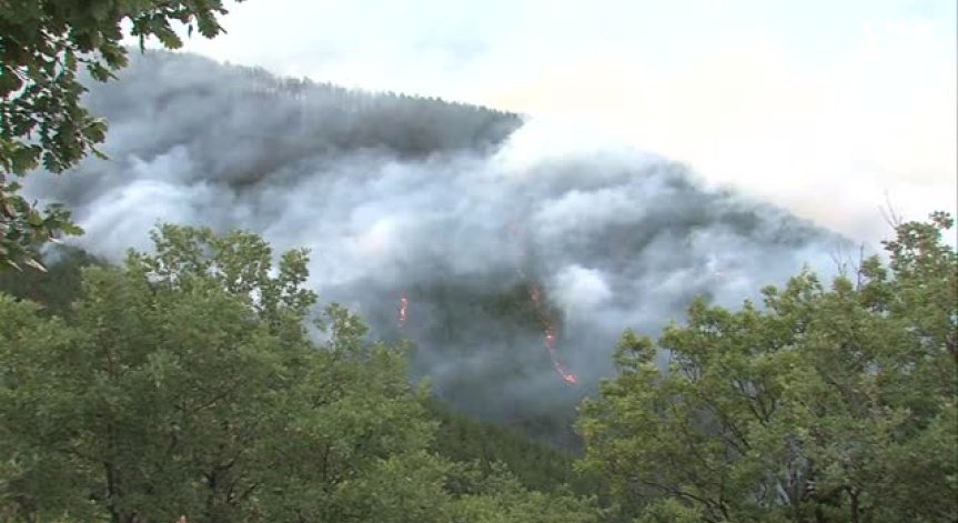250 души успяха да овладеят пожара край Кресна