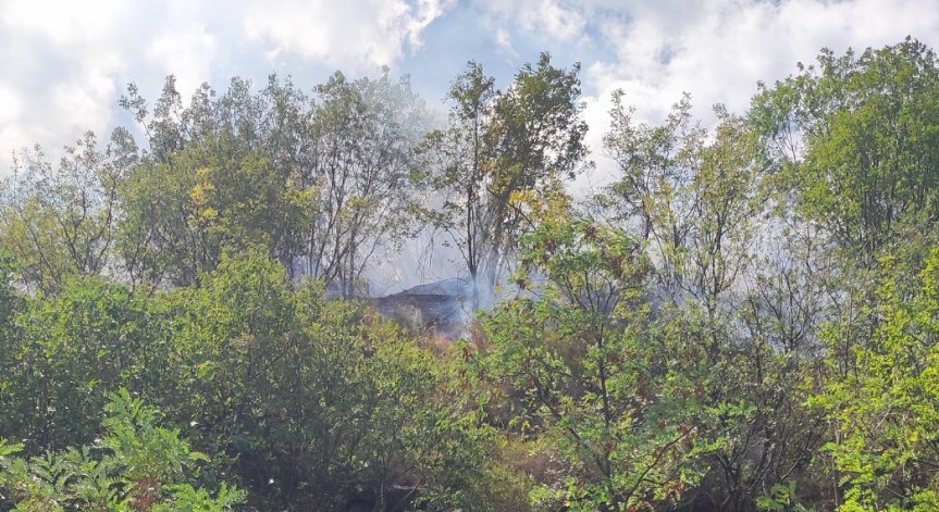 Снимка: Facebook