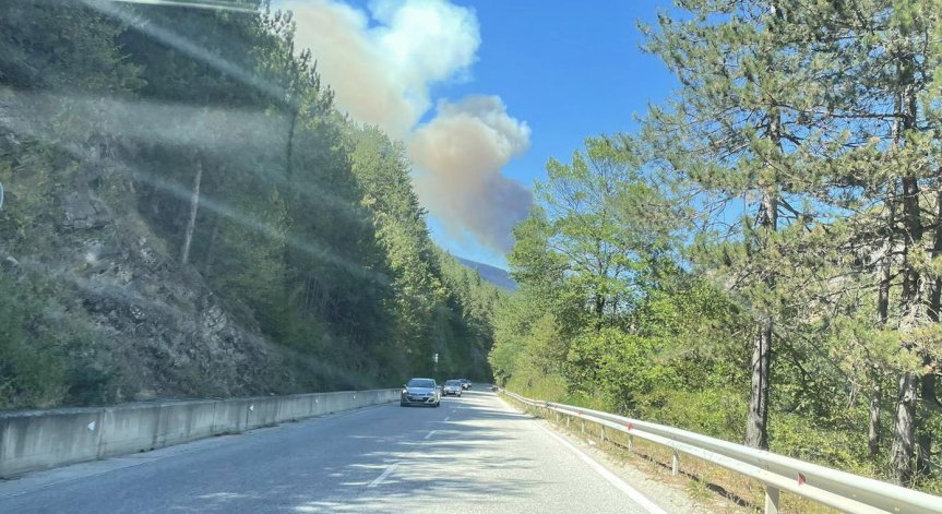 Хвърлена цигара от автомобил вероятно е причинила пожара в Родопите