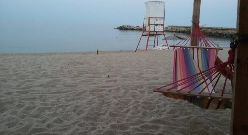  Биоразнообразието страда от урбанизирането на морския бряг