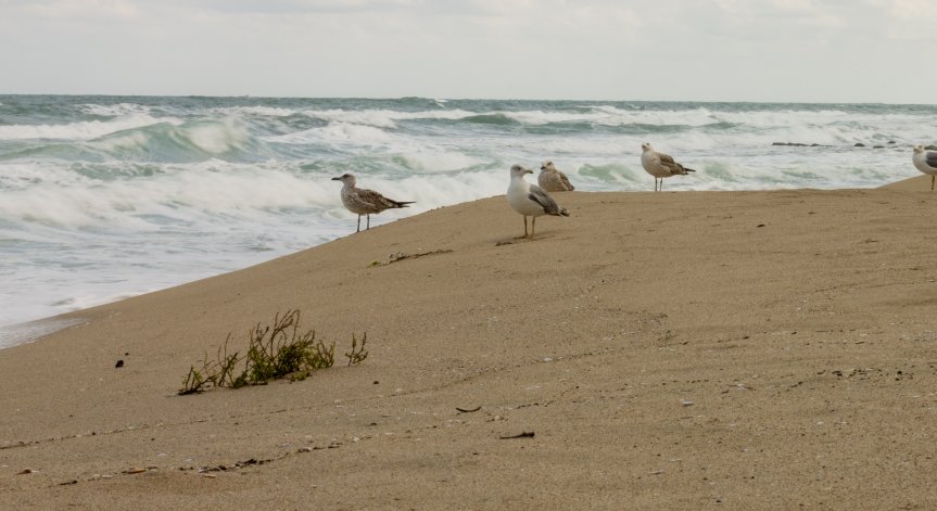 Щайги, камъни, колчета: Незаконните заграждения на красивия плаж 