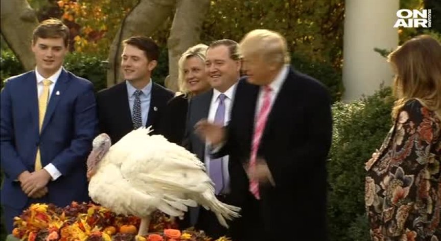 Тръмп помилва две пуйки в навечерието на Деня на благодарността