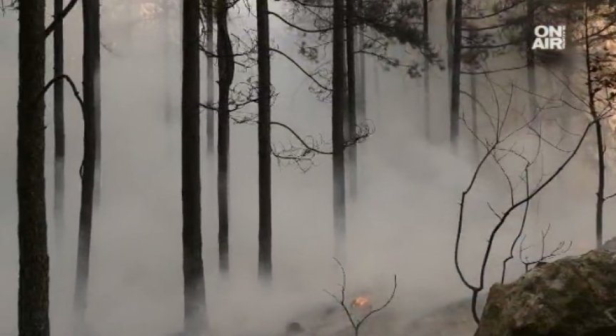 Ужасът в Кресна продължава! Два вертолета Ми-17 участваха в гасенето на огъня
