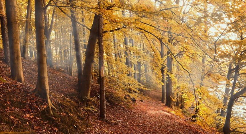 Съботата ще е облачна и мъглива, температурите до 18°