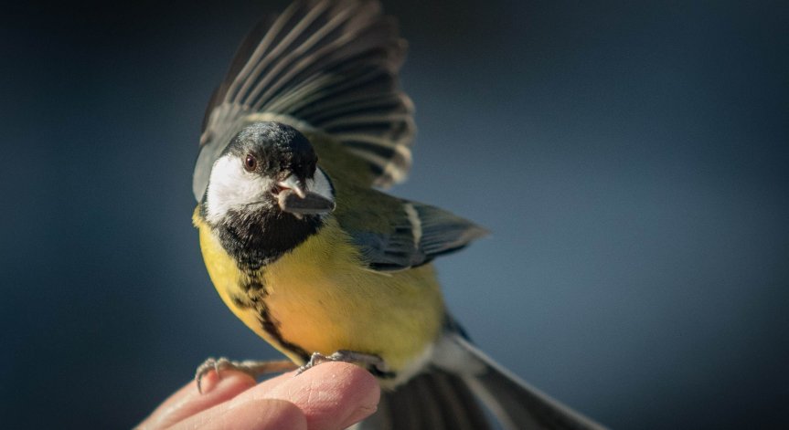 В планините ще бъде слънчево.
