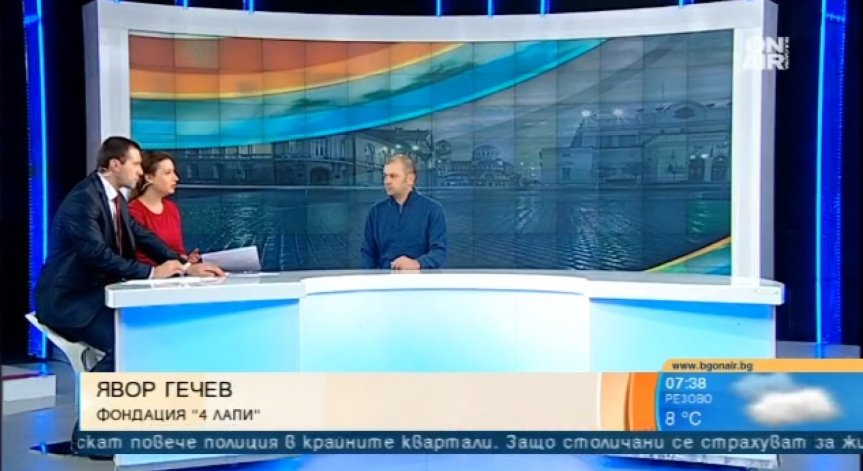 Роми пребиха коня си, докато бягат от опит за кражба в столицата