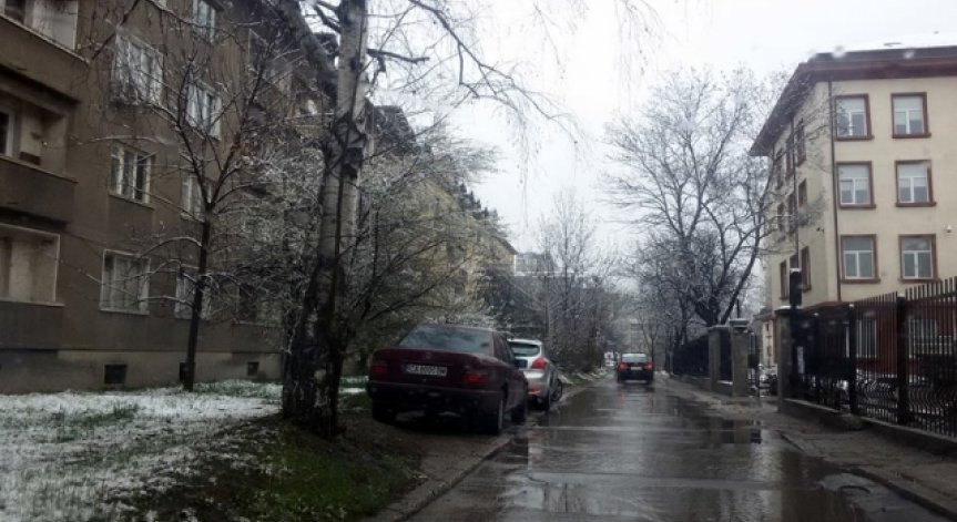 От 50 до 200 лв. глоба за паркиращите в паркове и градинки