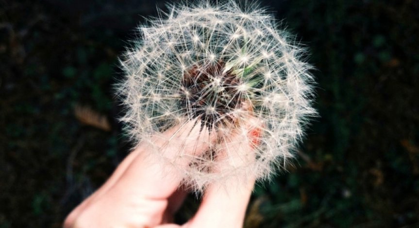 Галъп: Едва 1/3 от българите се чувстват щастливи