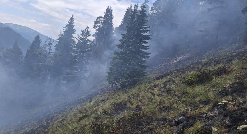 Пожарът е обхванал 200 дка низова гора и 600 дка непригодни площи и суха растителност. 