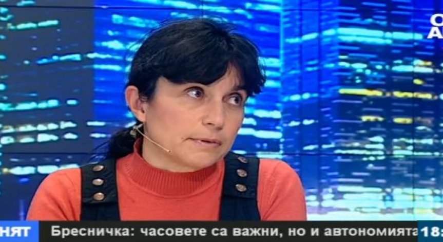 Цвета Бресничка: Липсата на информация доведе до истерия около учебните стандарти