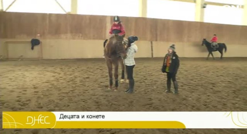 Конна езда за деца в ефира на ДНЕС