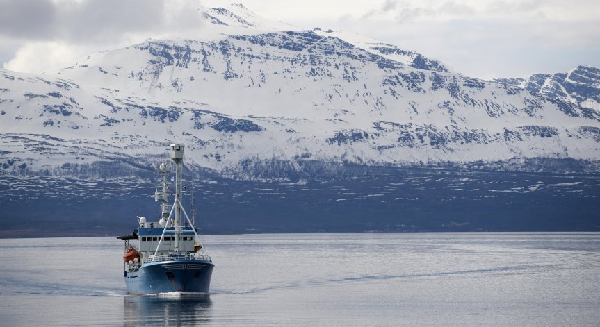 Български моряци паднали зад борда в Норвежко море