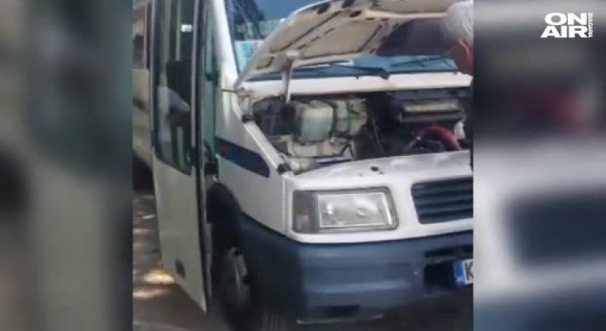 Влечуги накараха Благоевград и Дупница да изтръпнат!
