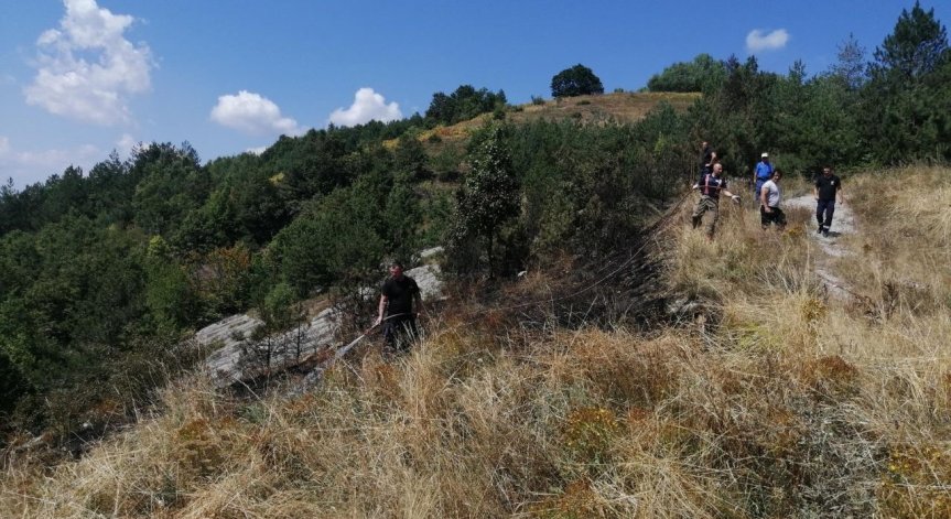 Два пожара бушуват в Асеновградско, общината обяви частично бедствено положение