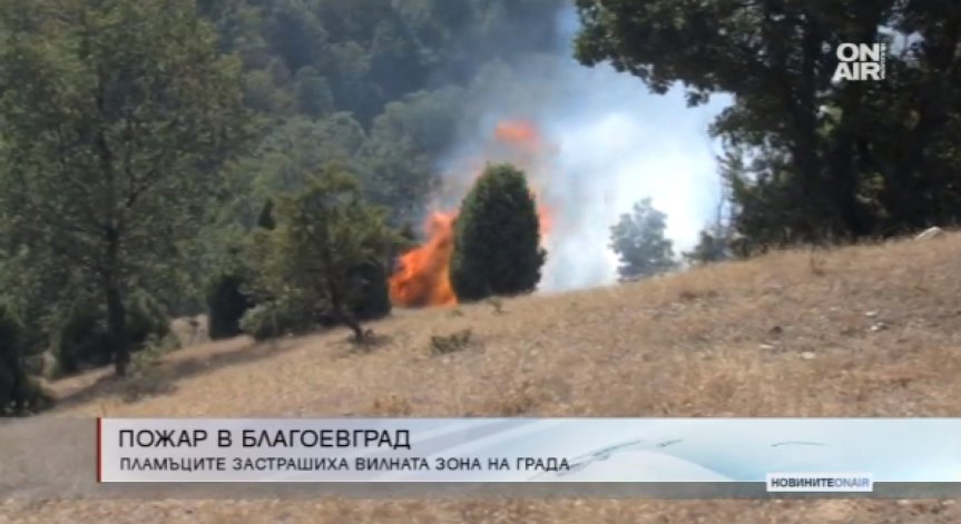 Пожар в Благоевград изгори лозя и градини
