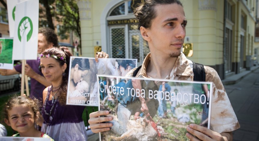 Веганите погнаха мюсюлманите: Протест срещу Курбан Байрам