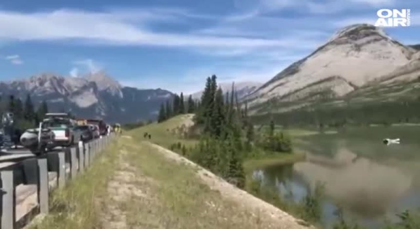 Самолет падна в река в Канада, един човек загина