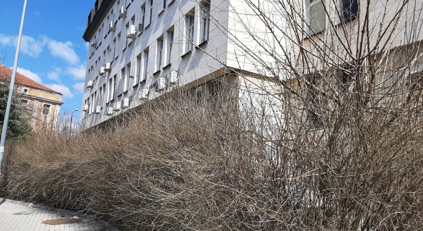 За пореден път в Helpbook: Сигнали за състоянието на Кърджали