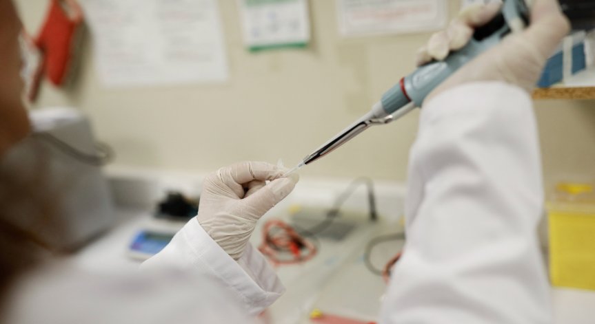 СЗО оценява риска от разпространение на вируса H5N1 сред хората като нисък.