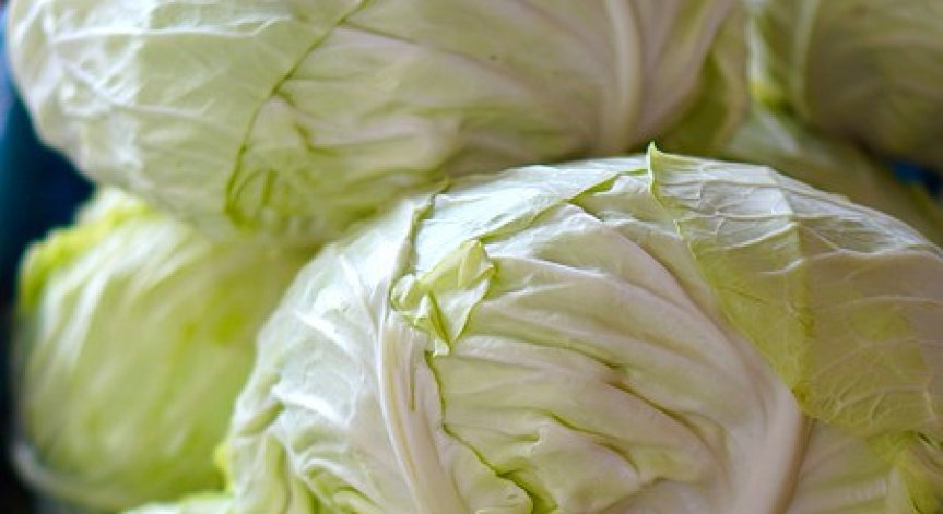 Гранични полицаи откриха 9 тона нелегален тютюн, скрит между зеле и пелети