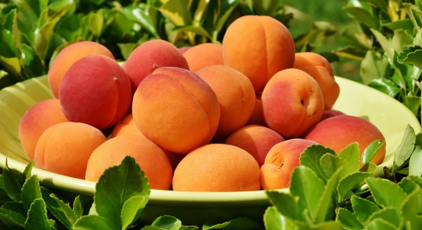 Плюсове и минуси при консумиране на прасковите с обелката