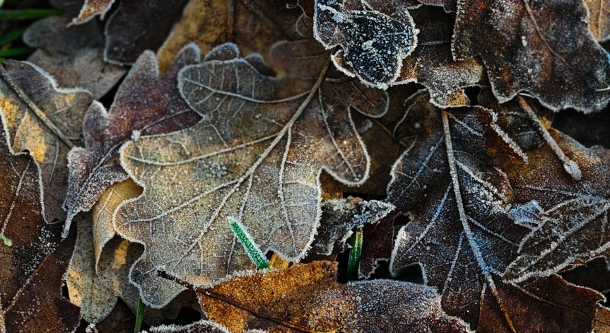 В София е отчетена температура от -12 градуса.