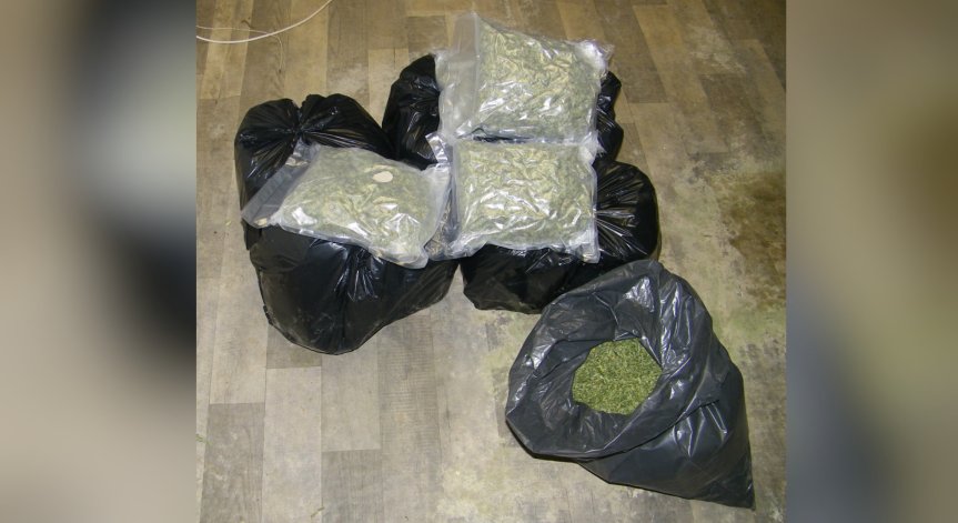 Сред иззетите вещества има и кокаин, и екстази.