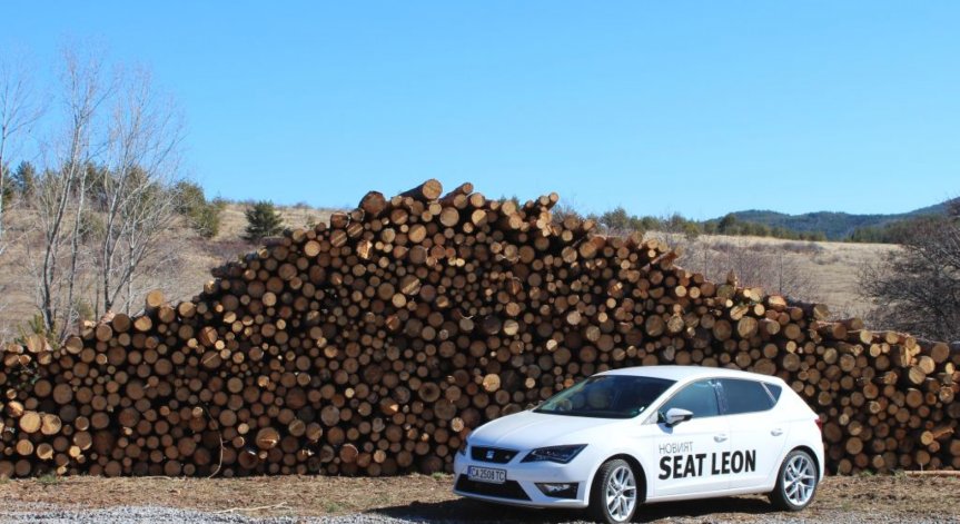 Ползата от смесените бракове: тест на новия Seat Leon