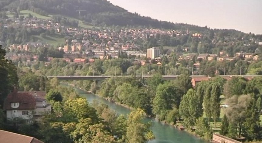 Замърсеният въздух вреди на мозъка