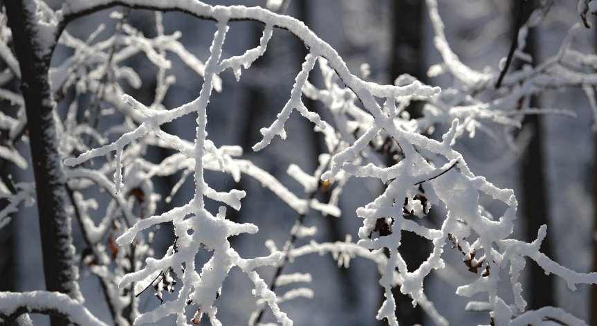 Работи се по отстраняване на проблемa.