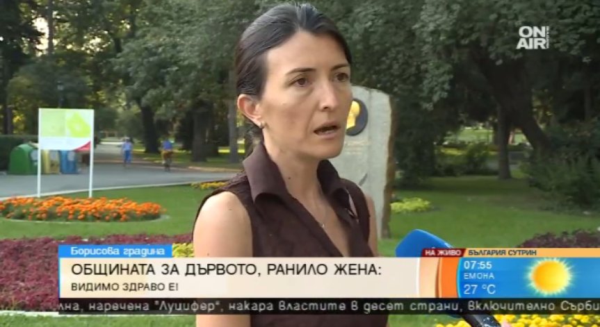 Клонът, който едва не уби жена в парка, изглеждал напълно здрав