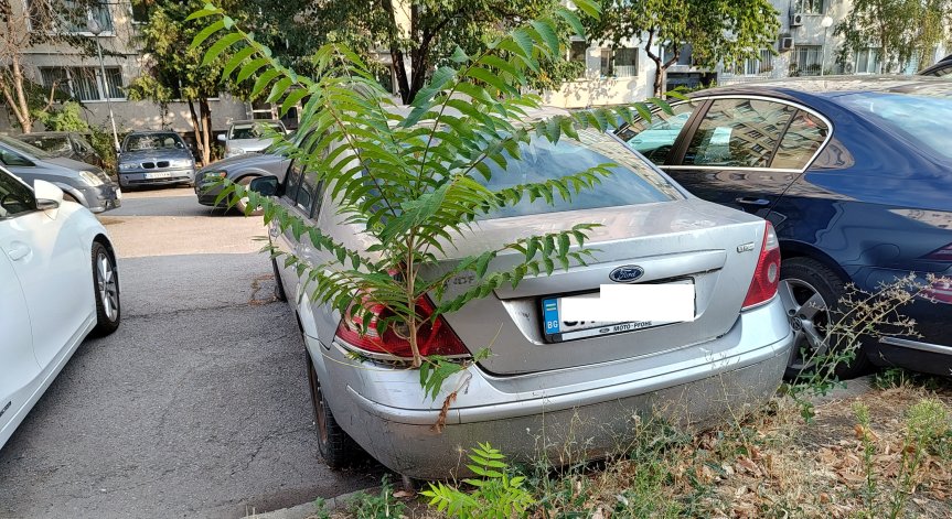 Явно колата отдавна не е карана.