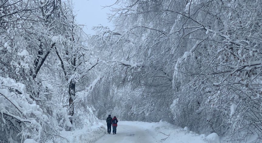 Попович, Господиново и Дюлино са без ток.