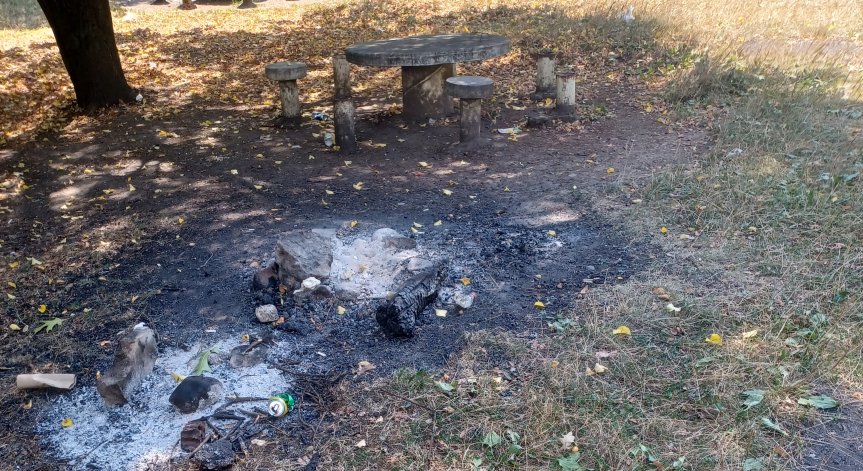 Предложение за ремонт и поддръжка на парк Камбаните 