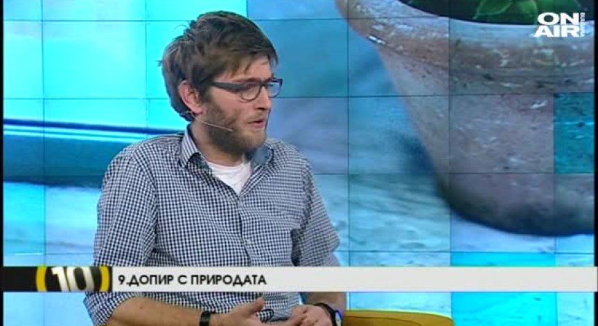 10 решения за уютен офис