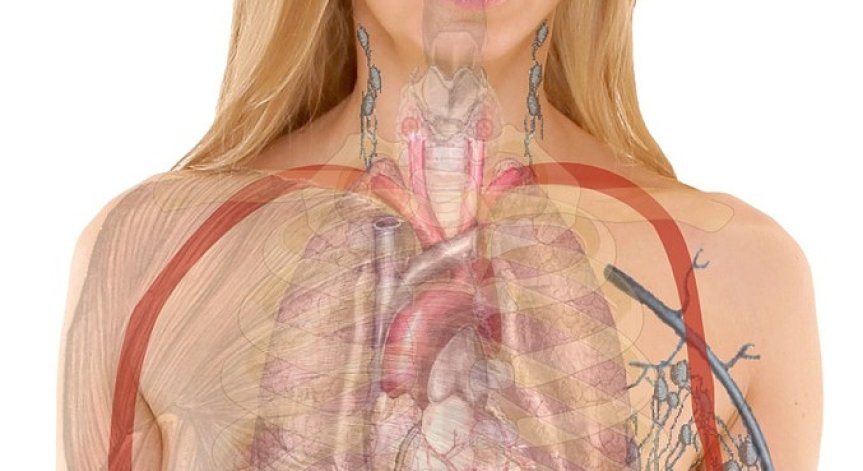 Как да се грижим правилно за щитовидната жлеза?