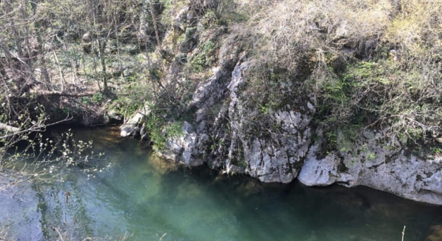 11 научни причини защо трябва да прекарвате повече време сред природата