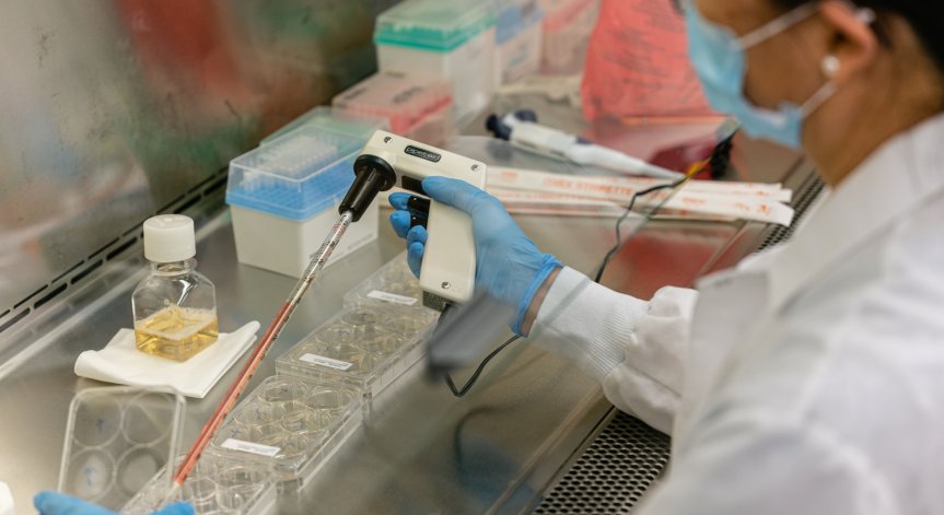 Учени откриха антитела, които неутрализират всички варианти на Ковид-19