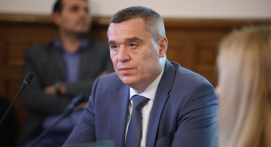 Министър Тахов увери, че няма назначена процедура за умъртвяване на животните.