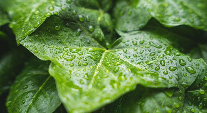 Облачно ще бъде и в планините.