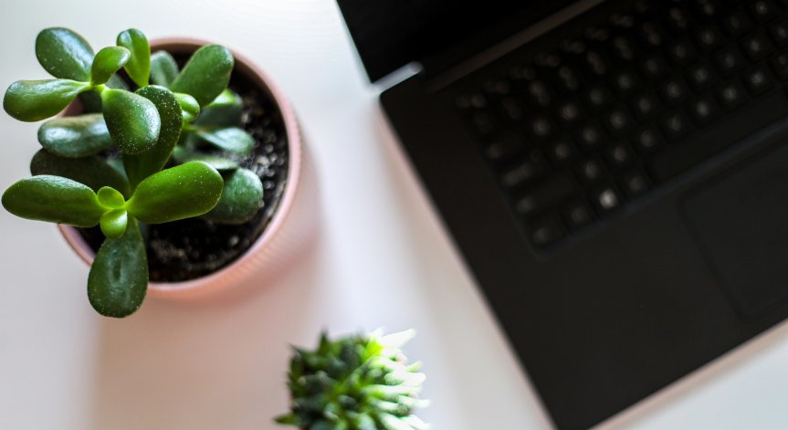 Вижте защо растенията са чудесна идея за работното ви място
