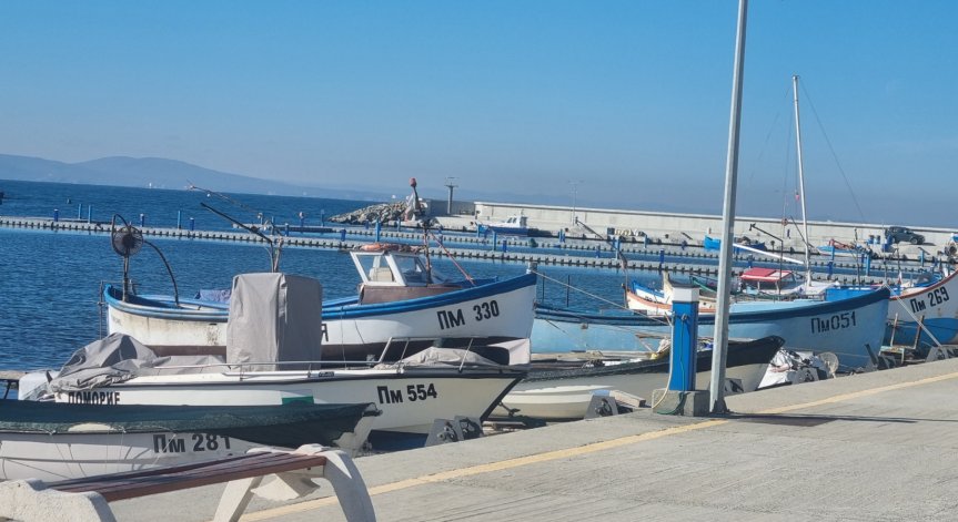 Компенсират с 2 млн. лв. спрения риболов заради риск от мини в Черно море