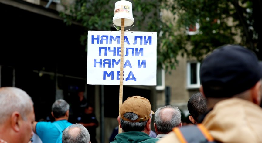 Пчеларите излизат на протест, искат подпомагане от 50 лв. на кошер