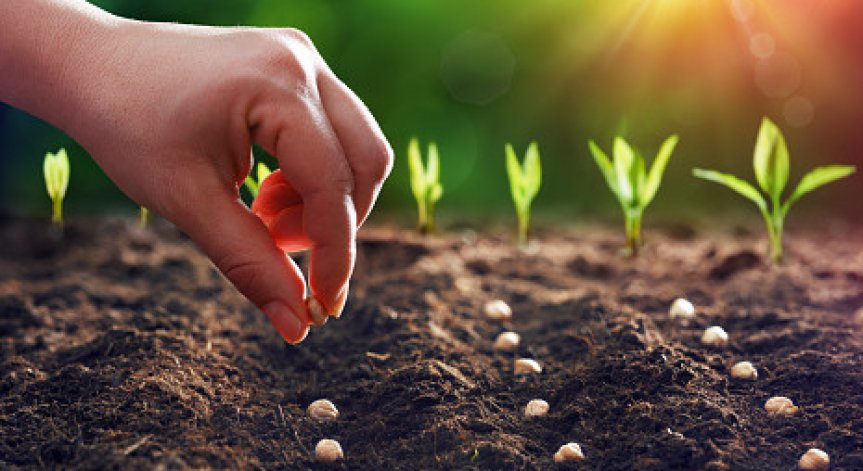 Защо храната, която ядем и начинът ѝ на приготвяне вредят на планетата и здравето ни?