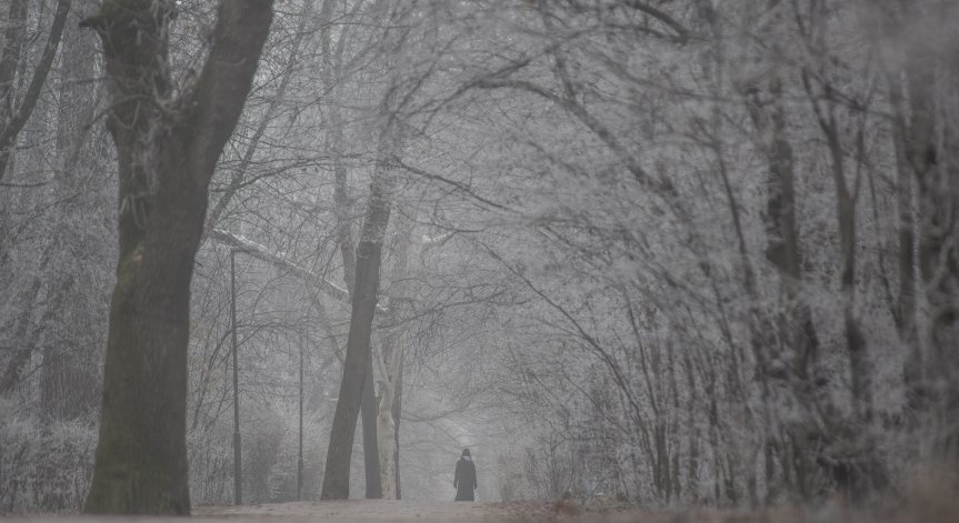 ''Очаква ни още много работа'', заяви още Бобчева.